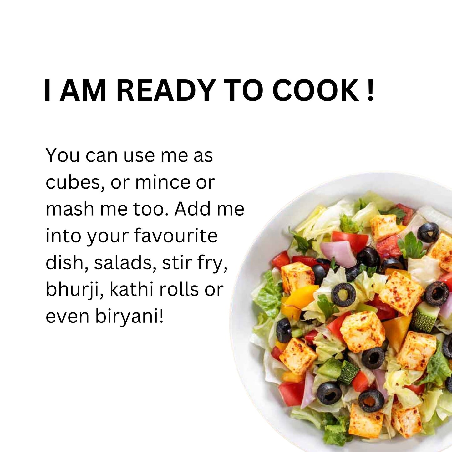 SOYA TOFU (MIX MASALA)